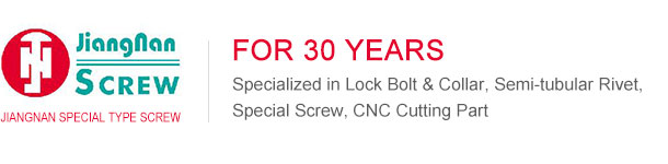 Changzhou Wujin Jiangnan Special Type Screw Co., Ltd.