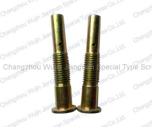 Special Non-standard Screw1