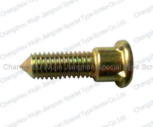 Special Non-standard Screw2