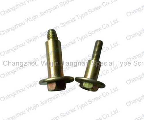 Special Non-standard Screw5