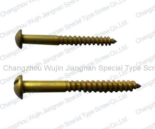 Special Non-standard Screw9