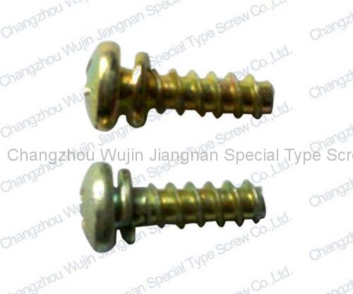 Special Non-standard Screw10