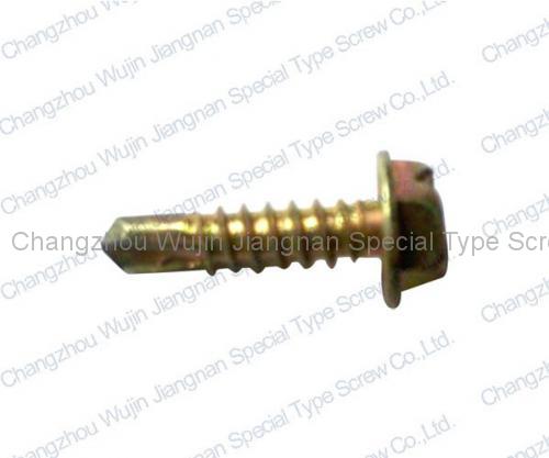 Special Non-standard Screw11