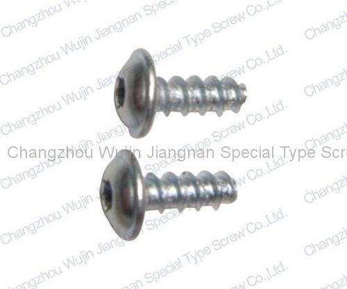 Special Non-standard Screw12