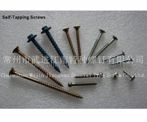 Special Non-standard Screw16